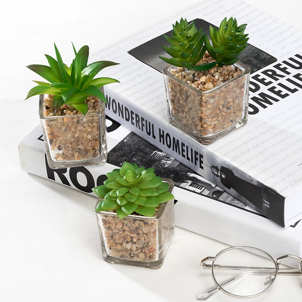 K-Cliffs Mini Succulent  Potted in Modern Cube Shape Clear Glass Pots 3pcs Set.Overall- 8.3L x 3.9W x 4.3H inches; each Pot (not including Plants)- 2L x 2W x 2H inch