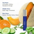 thumbnail image 4 of Ralph Lauren Polo Cologne for Men Travel Spray Set, 4 of 7
