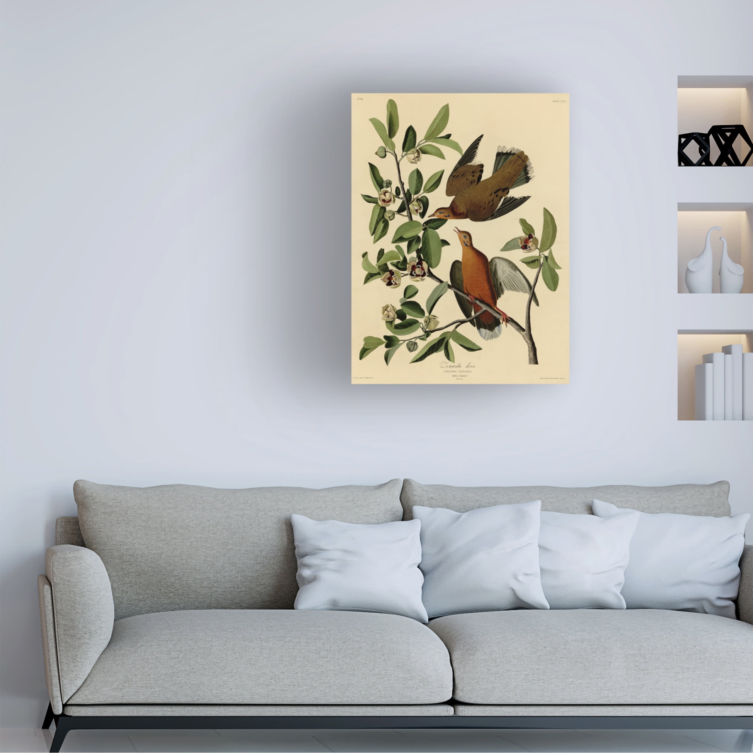 Audubon 'Zenaida Dovesplate 162' Canvas Art