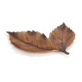 thumbnail image 2 of Melrose Modern Home Decorative Leaf Plates (Set of 2) 8" L x 8.75" W, 10" L x 12" H Resin, 2 of 3
