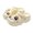 White, variant on Clogs for Women Waterproof Elevated Platform Clogs For Women Breathable On Casual Comfort Shoes Unisex Daily Wear With Decorative Charms