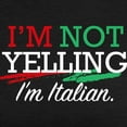 thumbnail image 3 of CafePress - Notyellingitalian1a Women's Deluxe T Shirt - Womens Tri-blend T-Shirt, 3 of 4