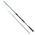 BIMZUC Deep Sea Offshore General Carbon Fishing Rod Luminous Spinning ...