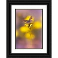thumbnail image 1 of Daminelli, Fabrizio 13x18 Black Ornate Wood Framed with Double Matting Museum Art Print Titled - icaro, 1 of 4