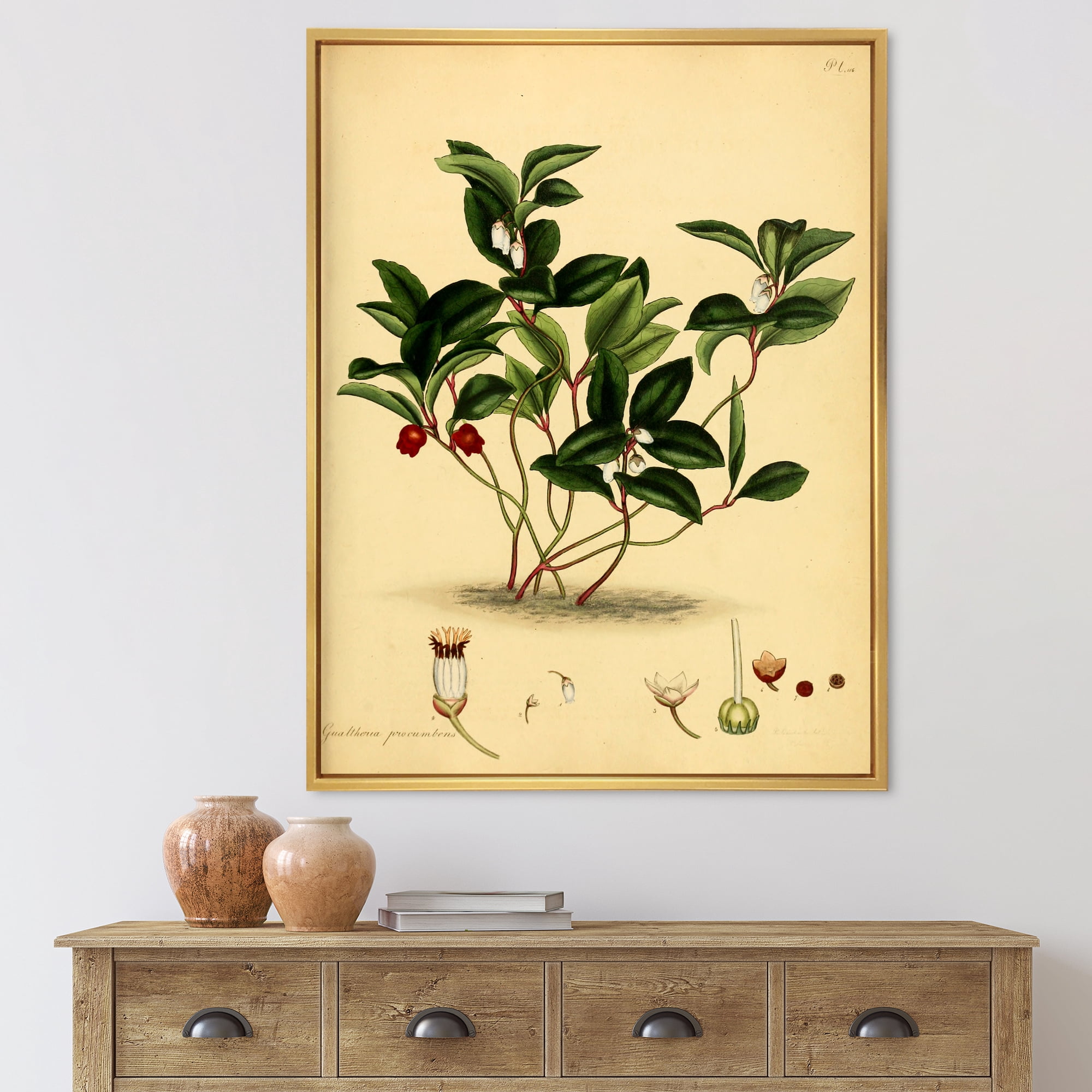 Designart 'Ancient Plant Life III' Traditional Framed Canvas Wall Art Print
