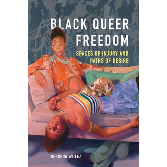 Pre-Owned Black Queer Freedom : Spaces of Injury and Paths of Desire (Paperback) 9780252085284