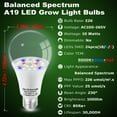 thumbnail image 2 of Bombillas Grow Light ALIDE E26 A19, 10 W, espectro completo, 5000 K, paquete de 3, 2 of 7