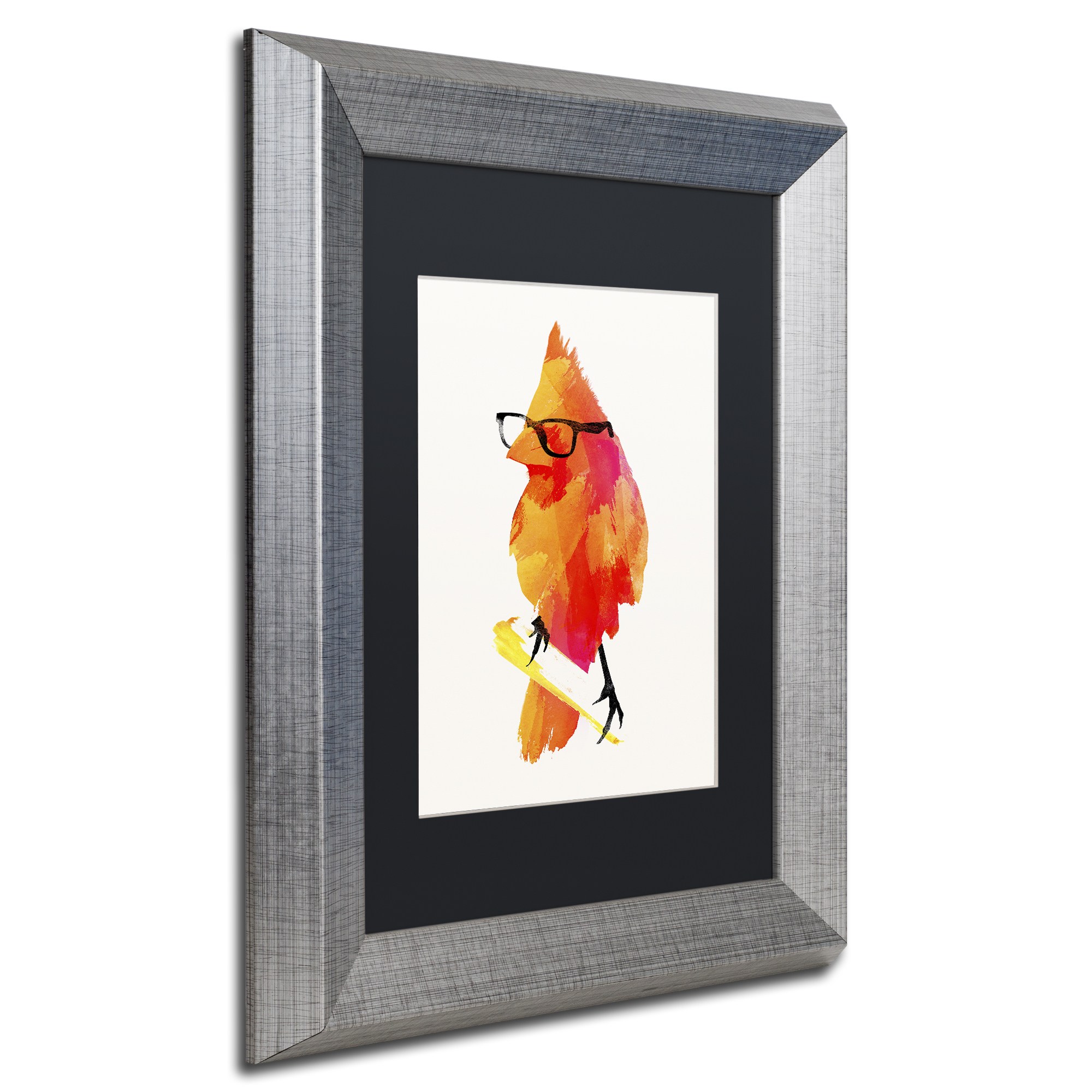 Trademark Fine Art 'Punk Birdy' Canvas Art by Robert Farkas, Black Matte, Silver Frame