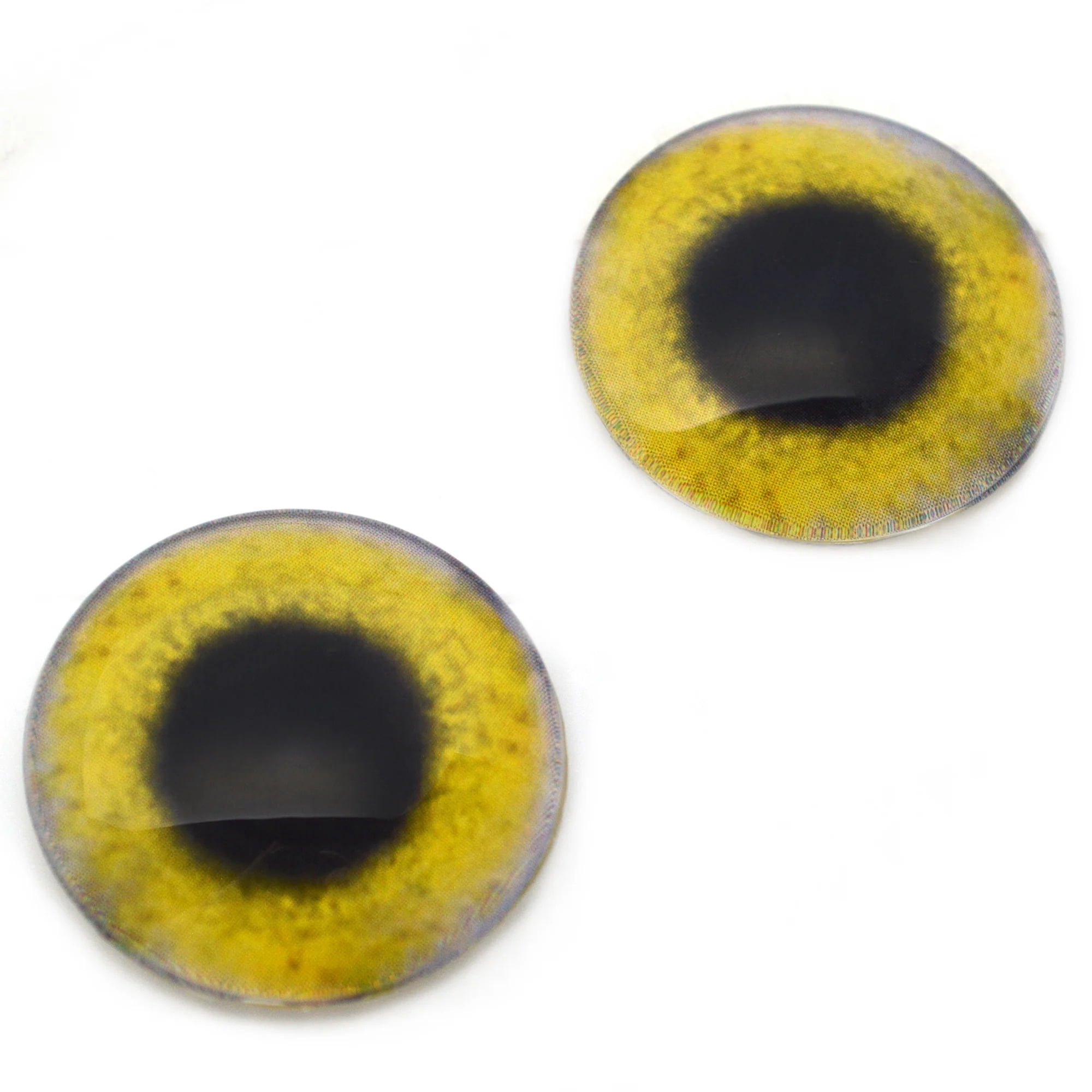 Yellow Osprey Glass Bird Eyes