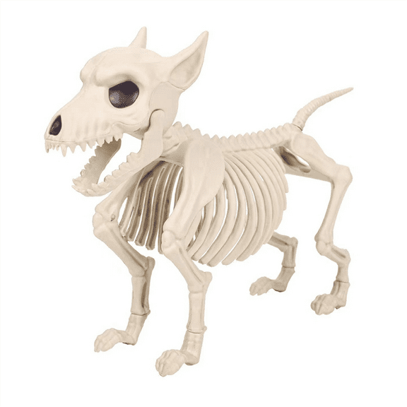 New Arrivals Skeleton Dog Halloween Decorations - Posable Animals Skeletons with Joints Decor