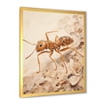thumbnail image 3 of Designart "Beige Collage Of Minimalist Ant I" Animals Ant Picture Framed Canvas Prints, 3 of 5