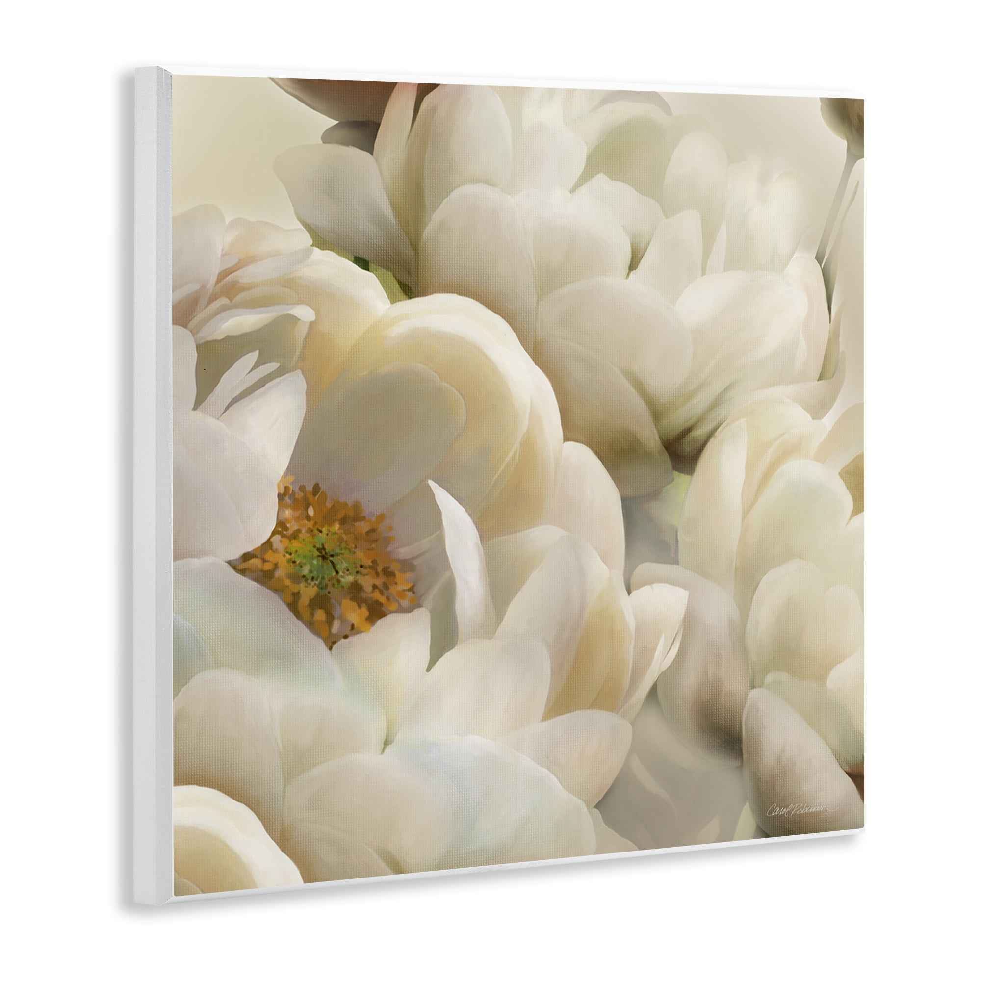 Stupell Industries Ivory Magnolia Petals Plants & Flowers Photography Unframed Art Print Wall Art, 12 x 12