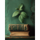 thumbnail image 1 of Qisvanset Framed Canvas Wall Art, 12x16 Inch John Sage Green Retro Kitchen Bible Wall Art, 1 of 5