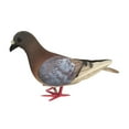 thumbnail image 3 of figatia Simulation Foam Pigeon Model Imitation Dust Miniature Statue Figure Residential Culture Realistic Pigeon Artificial Bird for Shelf Earthy Red, 3 of 8