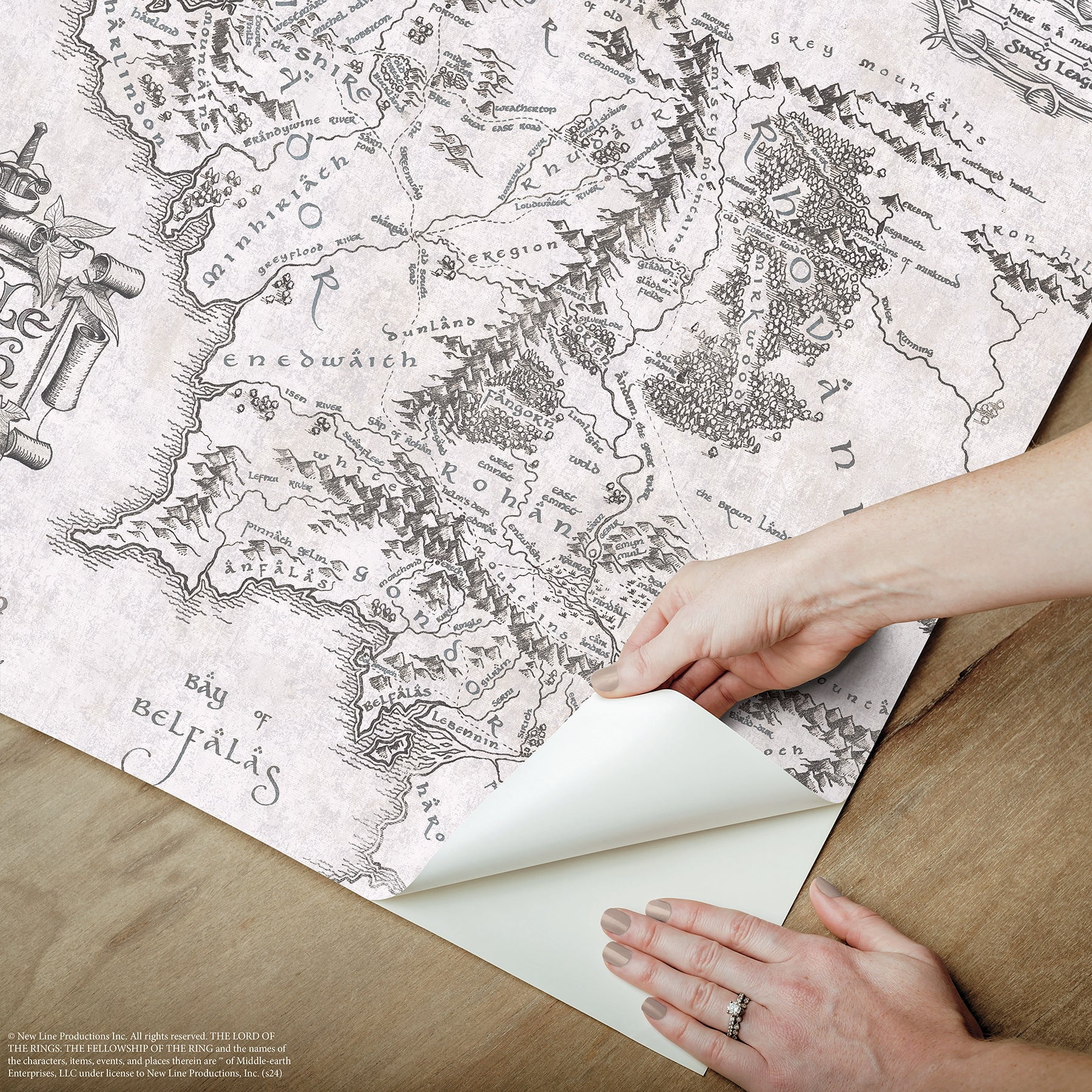 Lord of the Rings Middle Earth Map Peel & Stick Wallpaper