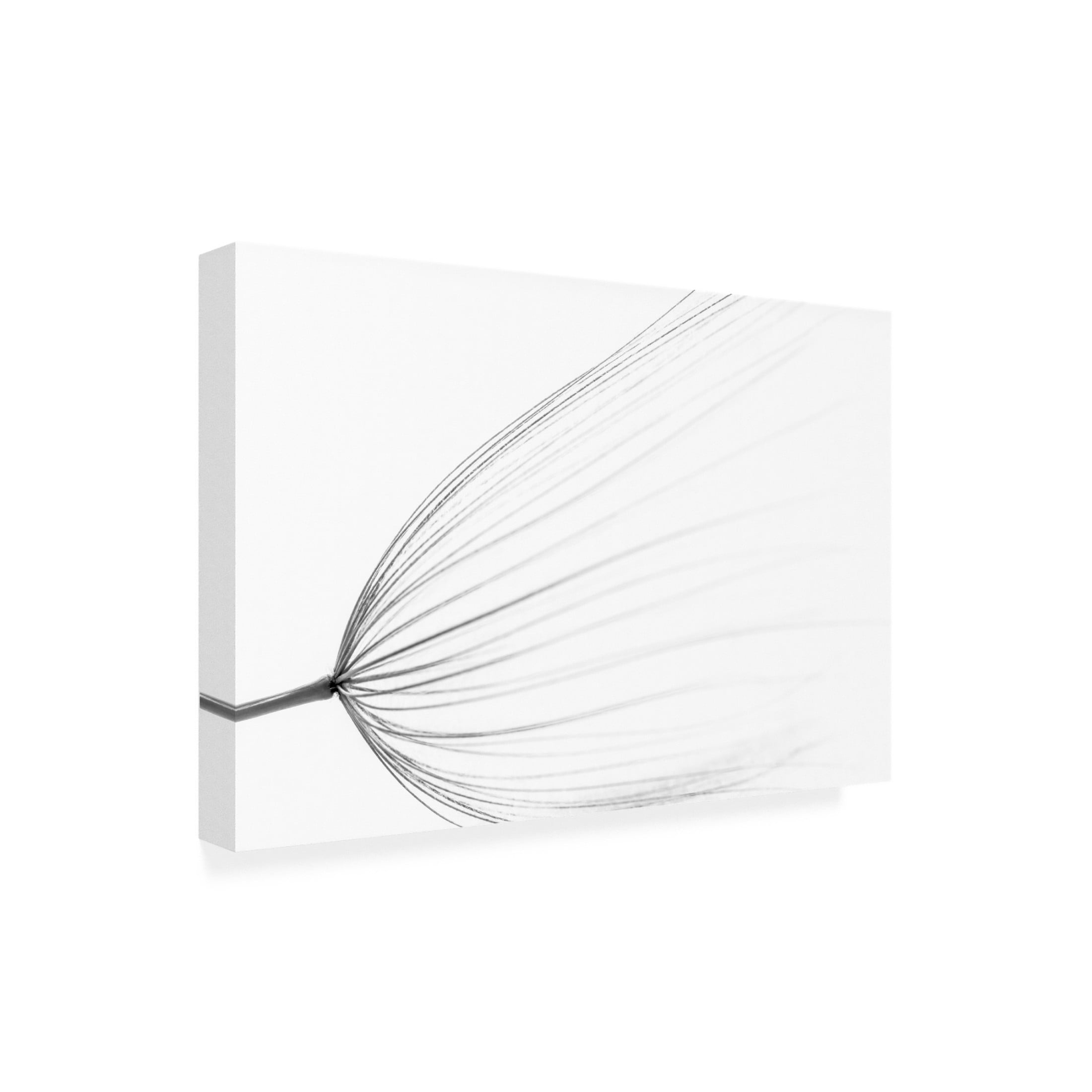 Trademark Fine Art Rino Terravecchia The Big Minimal Canvas Wall Art