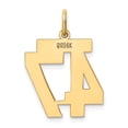 thumbnail image 3 of Real 14kt Yellow Gold Medium Polished Number 47 Charm Pendant; for Adults and Teens; for Women and Men, 3 of 4