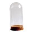thumbnail image 4 of Preserved Flower Glass Glass Display Case DIY Stylish Microlandscape Holder Glass Dome Cloche Cover for Table Home 9cmx20cm, 4 of 8