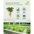 thumbnail image 2 of Kit de cápsulas hidropónicas para cultivar cualquier cosa URUQ, 140 piezas, para AeroGarden, 2 of 6