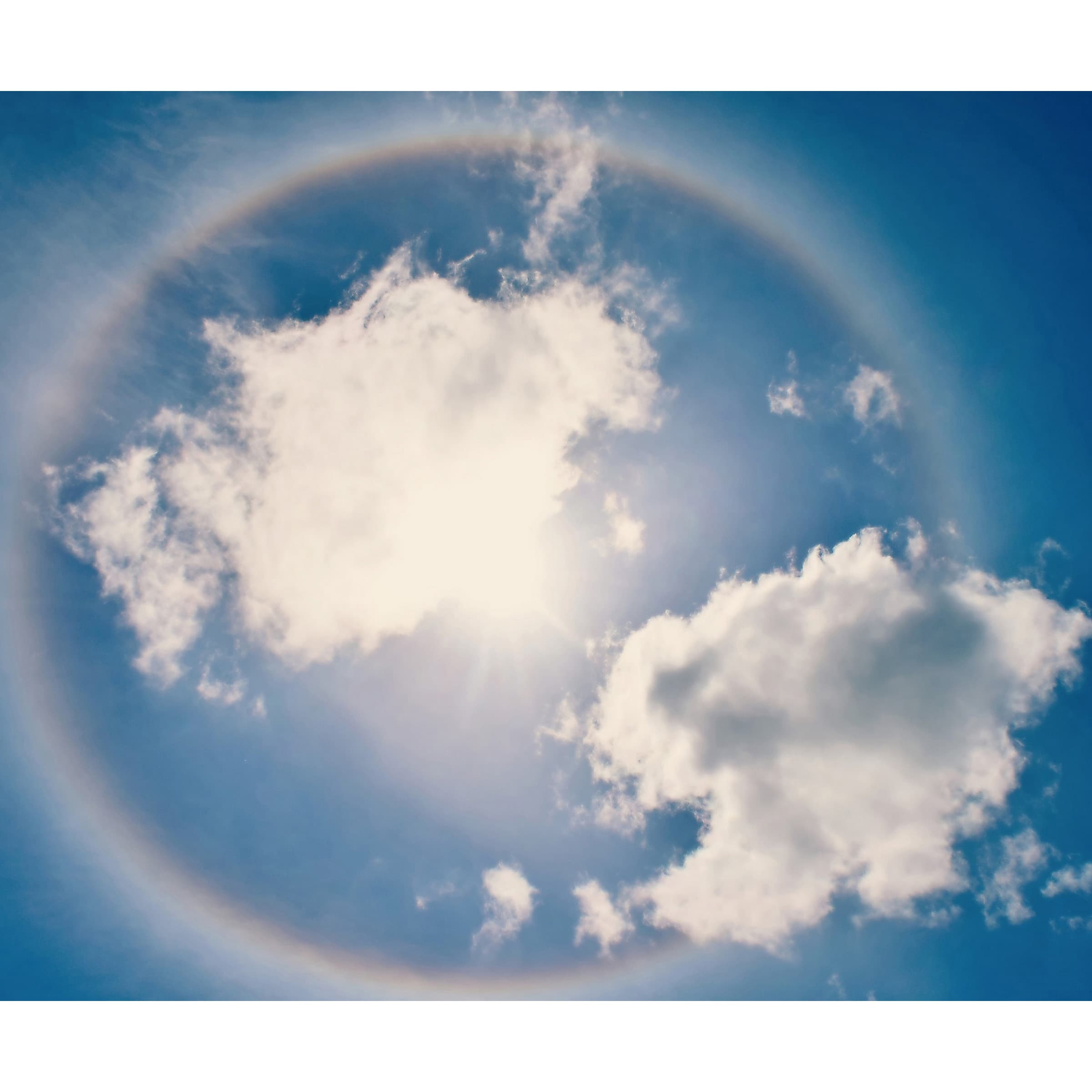 Marmont Hill "Halo" by Robert Dickinson Painting Print on Canvas