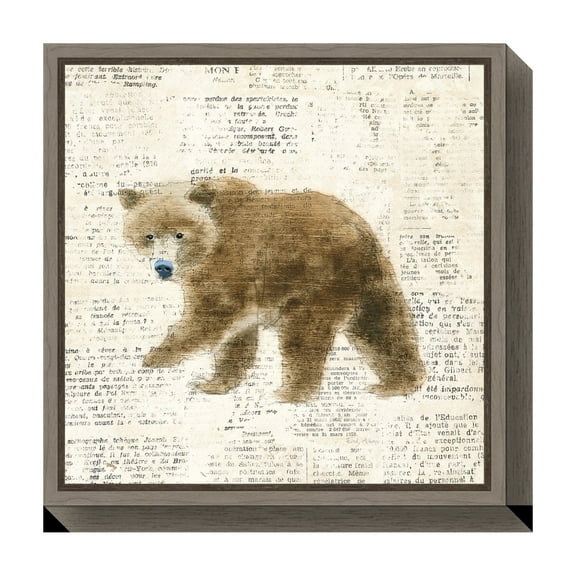 Amanti Art Into the Woods VI no Border (Bear) Framed Canvas Wall Art