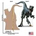 thumbnail image 5 of Cardboard People Blue Life Size Cardboard Cutout Standup - Jurassic World Dominion (2022 Film), 5 of 5