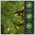 thumbnail image 5 of National Tree Company Pre-Lit Feel Real®Artificial Christmas Tree, Green, Downswept Douglas® Fir, Clear Lights, Includes Stand, 6.5 Feet, 5 of 8