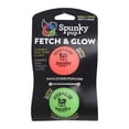 thumbnail image 1 of Juguete para Mascotas Spunky Pup Fetch & Glow 1957, 1 of 4