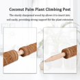 thumbnail image 5 of Coir Totem Pole Safe Plant Support Extension Coir Moss Stick Climbing Indoor, 5 of 7