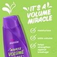 thumbnail image 3 of Aussie Paraben-Free Miracle Volume Shampoo w/ Plum & Bamboo For Fine Hair, 3 of 11