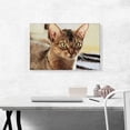 thumbnail image 2 of ARTCANVAS Abyssinian Cat Breed Closeup Canvas Art Print - Size: 26" x 18" (0.75" Deep), 2 of 9