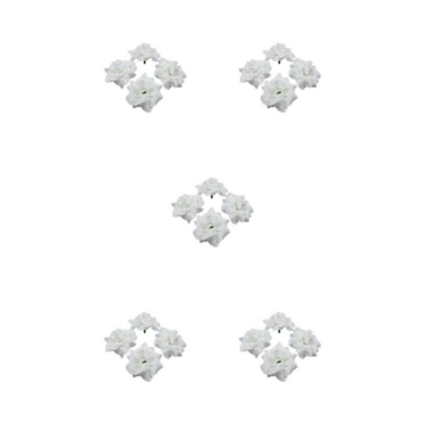 Naiovety 50 piezas de tela de bajo mantenimiento con apariencia realista para álbumes y decoración de ropa fiestas amplia aplicación blanco Type2 NO2