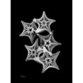 thumbnail image 2 of Koetsier, Albert 15x18 Gold Ornate Wood Framed with Double Matting Museum Art Print Titled - Starfish Collage, 2 of 4