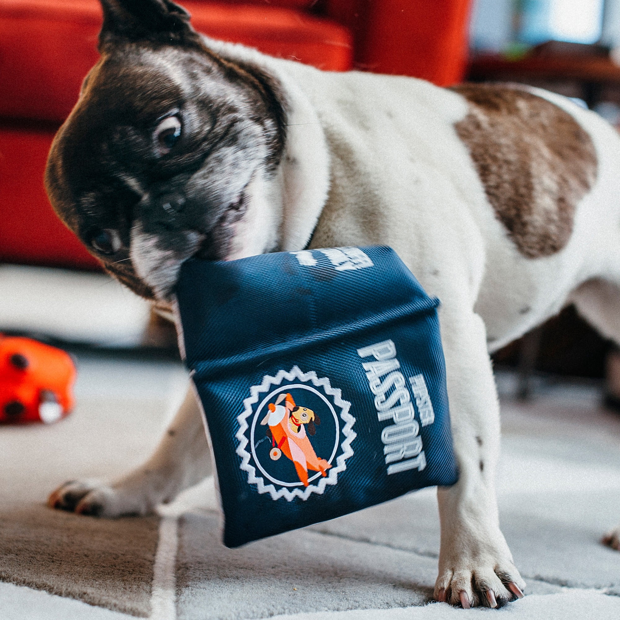 Globetrotter Collection: Pupster Passport Pet Chew Toy