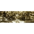 thumbnail image 3 of Hausenflock, Alan 24x11 Black Modern Framed Museum Art Print Titled - Druid Oaks Panel II, 3 of 5