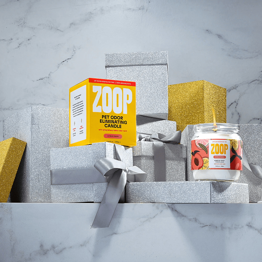 ZOOP Pet Odor Eliminator Candle Odor Eliminator for Home, Citrus Peach 250 ml