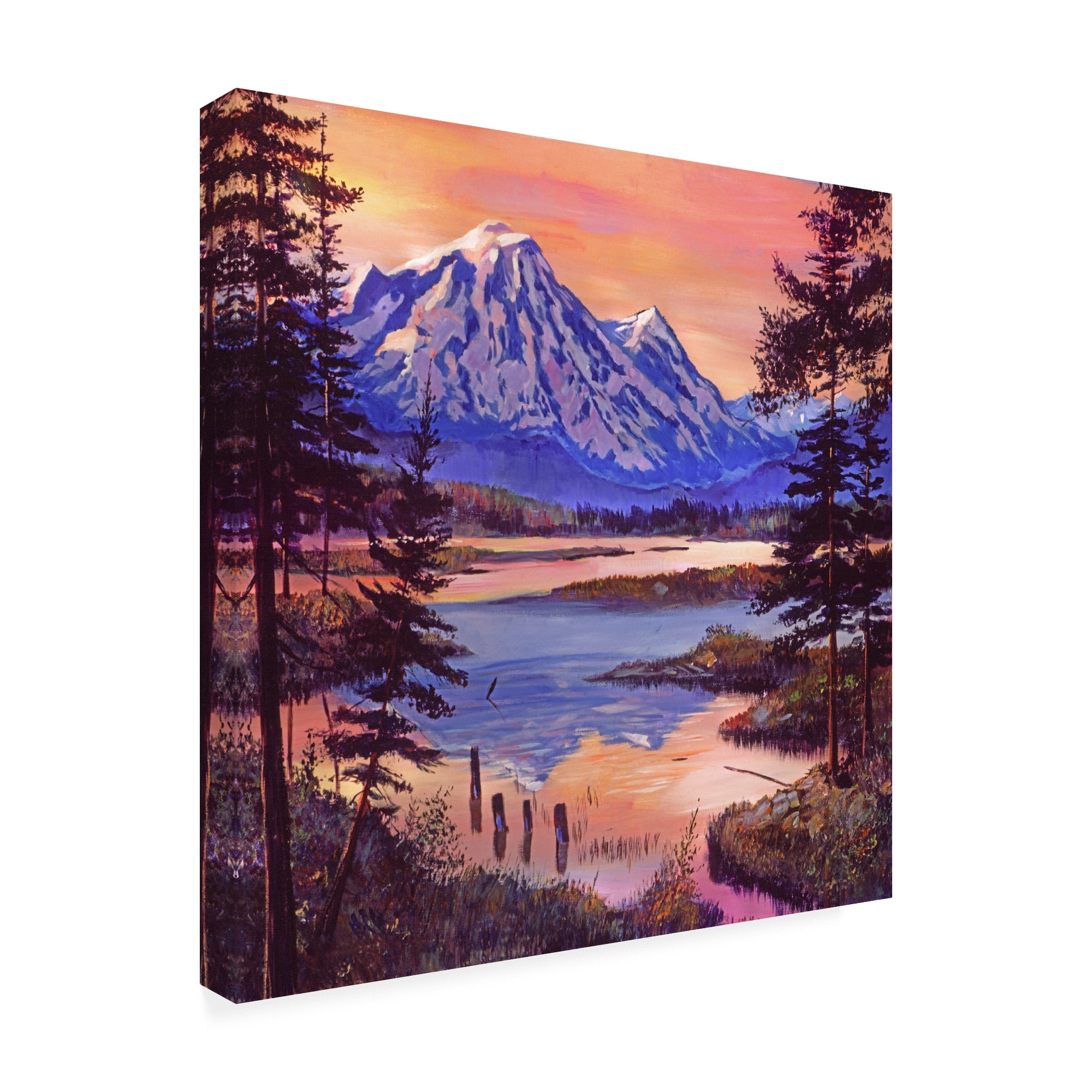 Trademark Fine Art 'Mountain Lakeshore At First Light' Canvas Art by David Lloyd Glover
