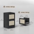 thumbnail image 2 of Boho Black 2-Drawer Filing Cabinet with Rattan Accents & Lock - A4/Letter File Storage for Office, Living Room & Bedroom - 15.7" x 28", 2 of 7