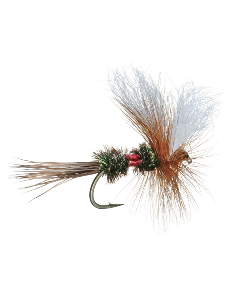 Trout Dry Fly  Assortment 12 Wulff Royal Red 