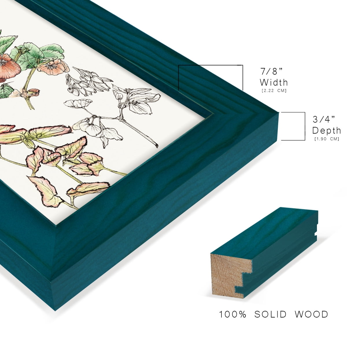 Begonia Study -Framed Print w/glass-Ocean Blue