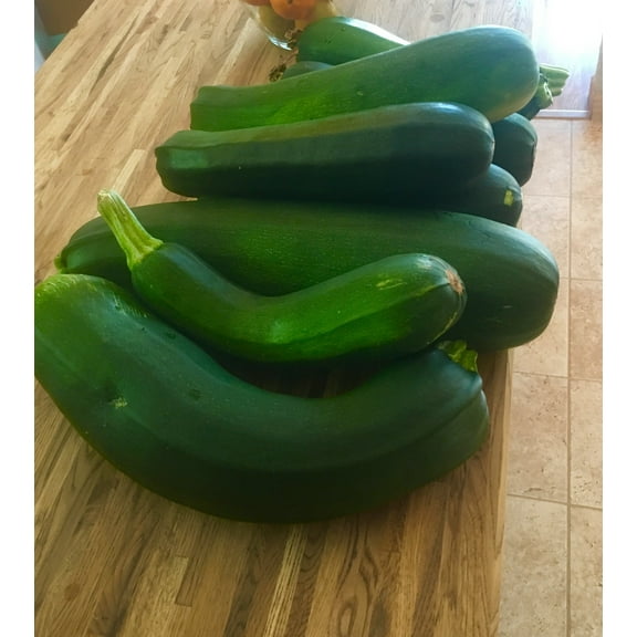 Black Zucchini Seeds