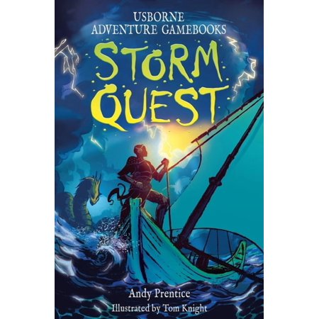 Adventure Gamebooks Storm Quest (Paperback)
