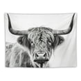 thumbnail image 5 of Nawypu  Highland Cow Print Wall Art Tapestry Bull Western Room Decor Portrait Cattle Farmhouse Animal Wildlife Funny Cute Art Wall Hanging Bedroom Living Dorm Fabric, 5 of 6