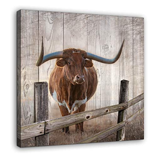Rustic Wall Decor Canvas Wall Art Of Texas Longhorns For Bathroom Bedroom Wall Decoration Animal Country Farmhouse Themed Print Picture Artwork Ready To Hang For Kitchen Rustic Home Decor Size 20x20