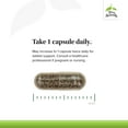 thumbnail image 4 of Terry Naturally Vectomega - 60 Capsules (Pack of 2), 4 of 7