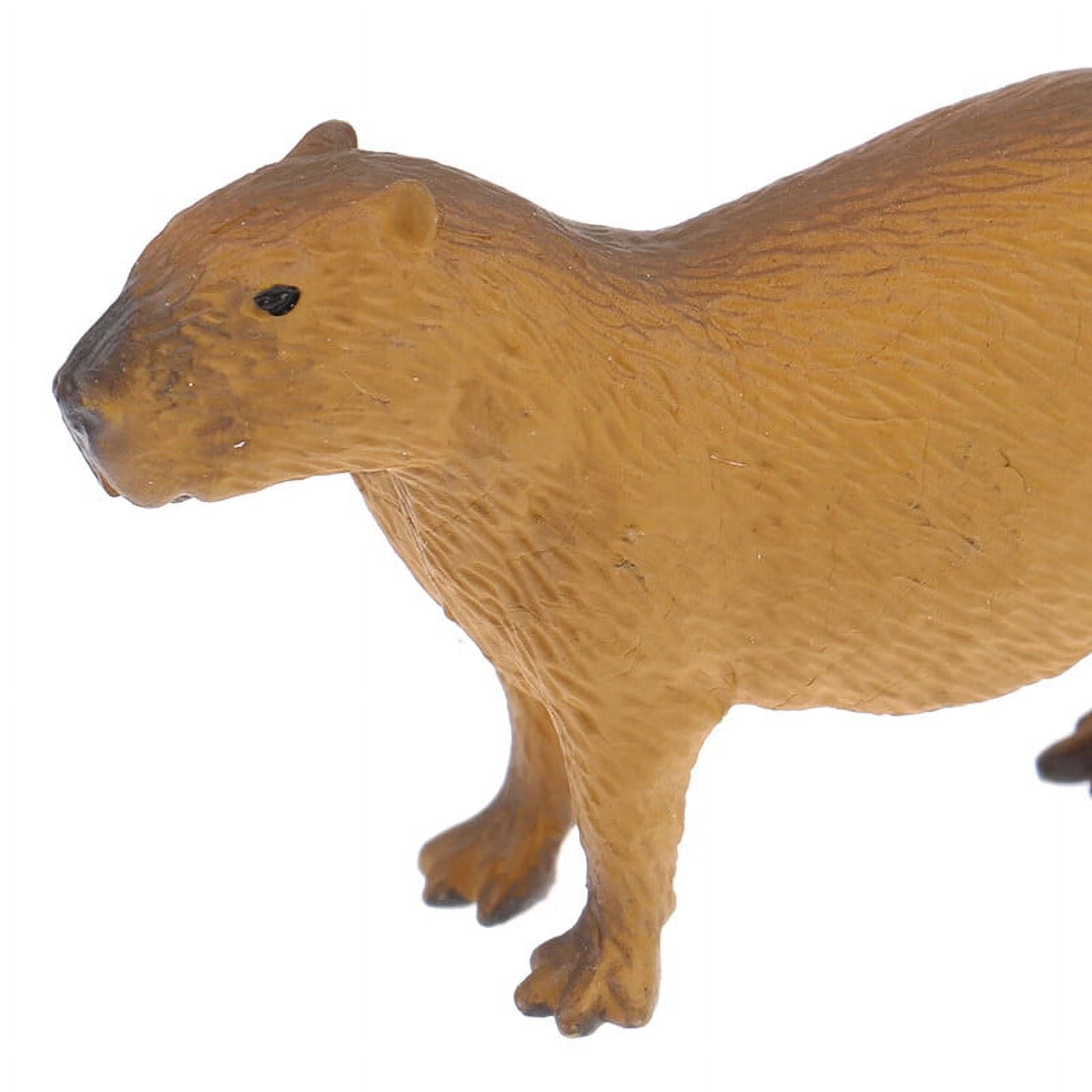 8 Pcs Simulation Capybara Model Small Toddler Toys Figetsss Toys House  Accessories for Home Plastic Decorative Capybaras Statue Figurines for  Toddlers