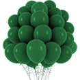 thumbnail image 1 of EcoNesxp Dark green balloons 110 each, 1 of 5