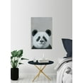 thumbnail image 5 of Panda in Deep Thought Painting Print on Wrapped Canvas, 5 of 7