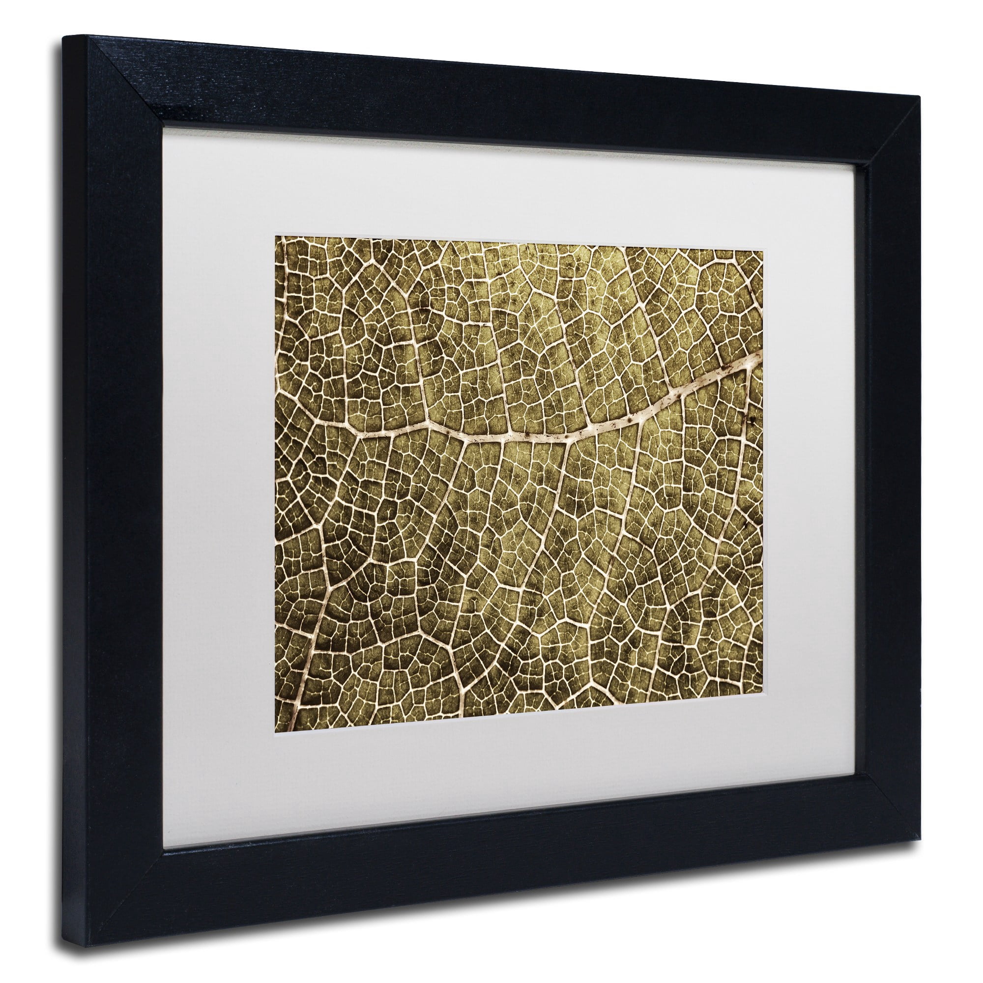 Trademark Fine Art 'Sepia Leaf Texture' Canvas Art by Cora Niele, White Matte, Wood Frame
