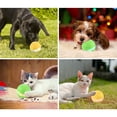 thumbnail image 6 of Reheyre Waterproof USB Rechargeable Interactive Pet Balls Cats Dogs LED Light Flash Toy, 6 of 8